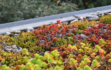 the cost of Bowhousebog Or Liquo green roof installation