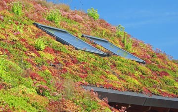 Bowhousebog Or Liquo living roof systems