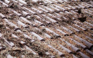 Bowhousebog Or Liquo roof cleaning companies