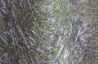 Bowhousebog Or Liquo fibreglass roof work